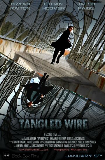 Tangled Wire (2014)