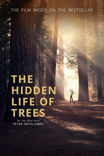 Das geheime Leben der Bäume (2020)